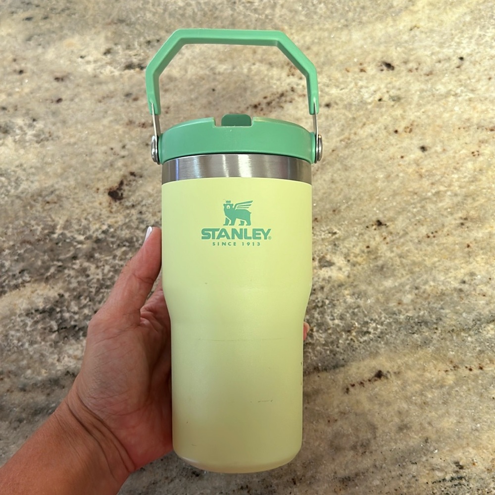 Used kids Stanley cup - light green